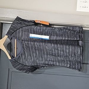 LOT of 2: Champion Semi-fitted Sz Large Workout Tshirts